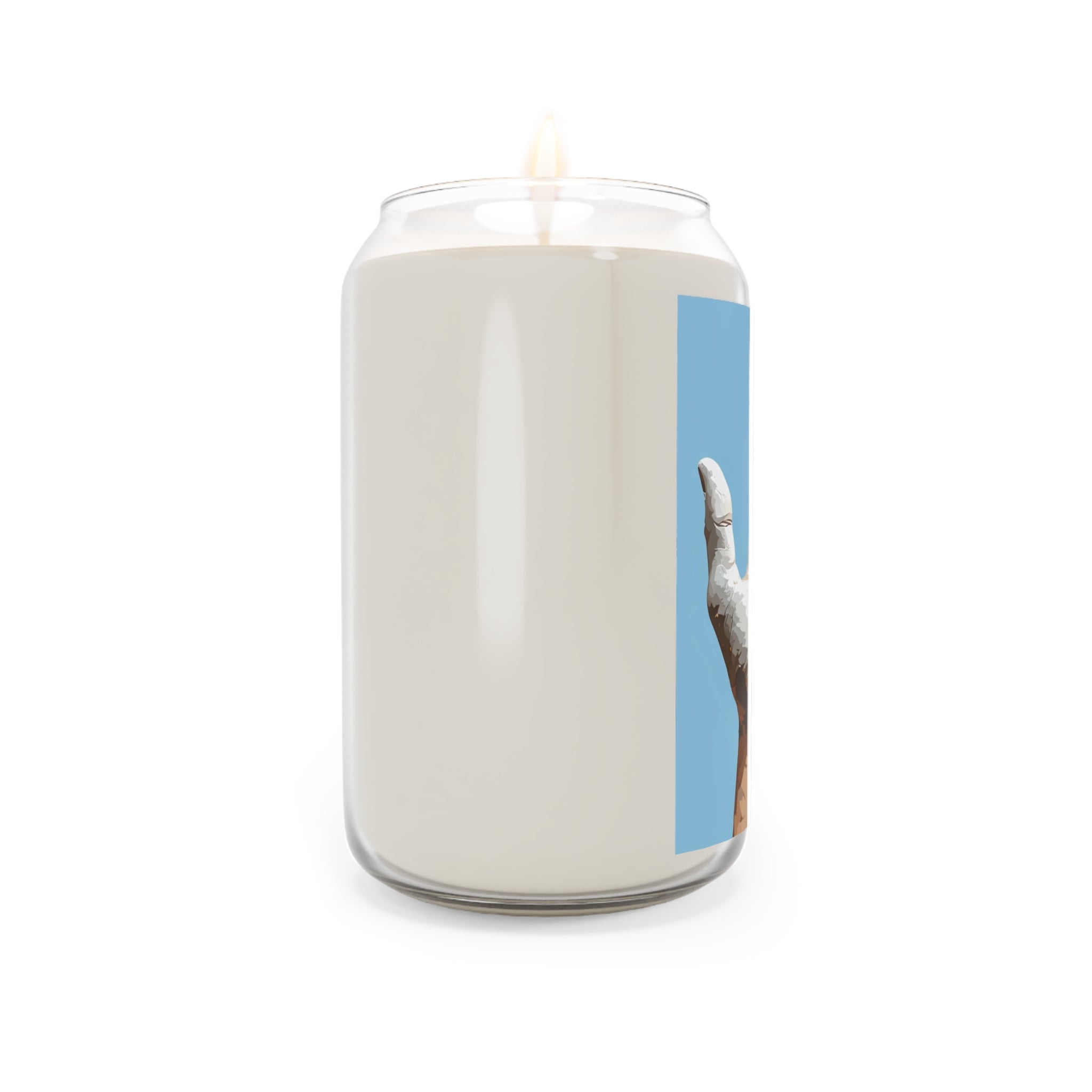Scented Soy Candles, 13.75oz