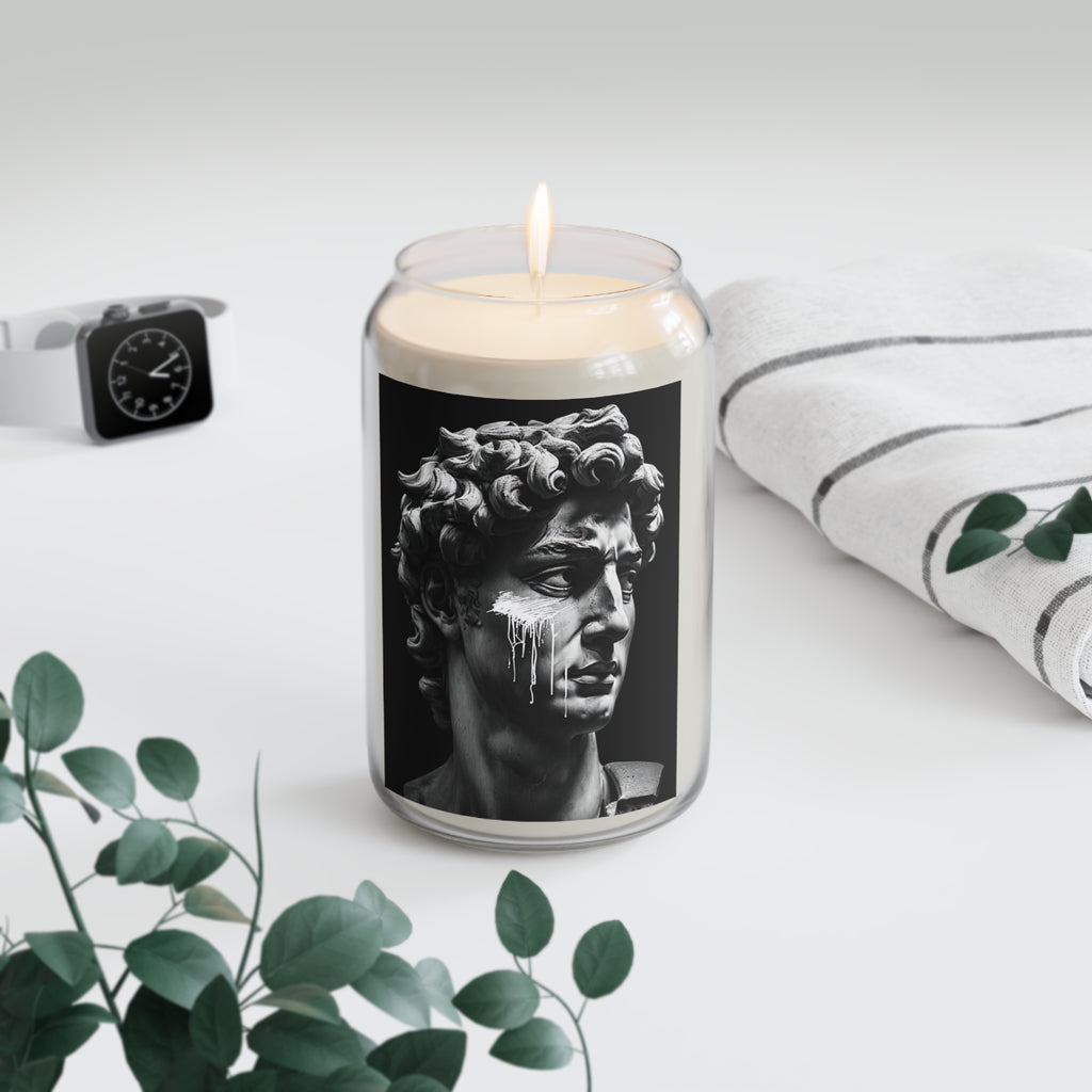 Scented Soy Candles, 13.75oz